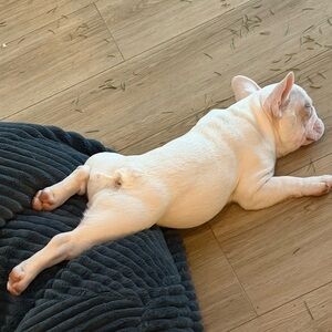 Meet your Posher, Scott